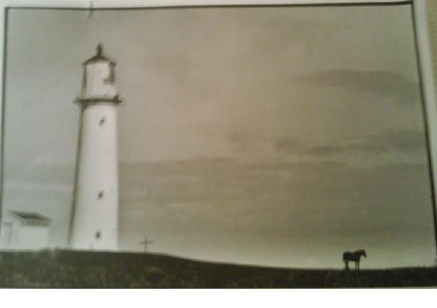German Martin's NZ N Coast Piccy